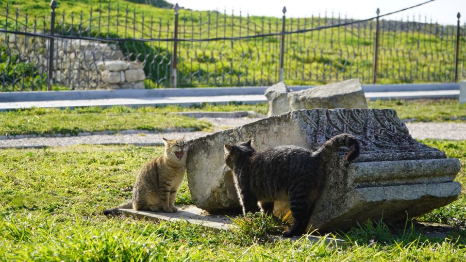 �������� ��������� �������: ��� ����� ���� � ��������� �����������