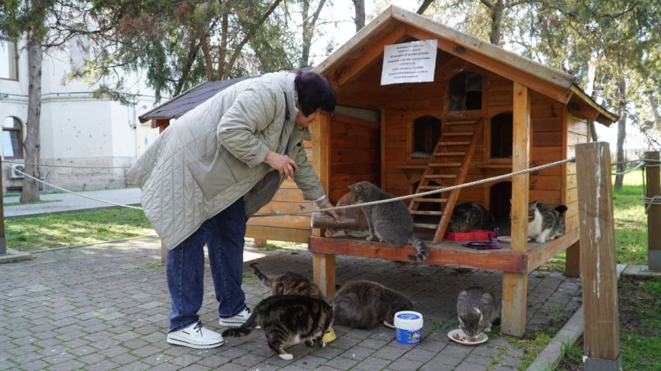 �������� ��������� �������: ��� ����� ���� � ��������� �����������