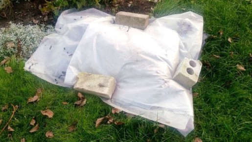 ��� ��������� ���� �����: ������� ��������� �������