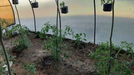 ����������� ������� �������: ����� ������ �� �����������