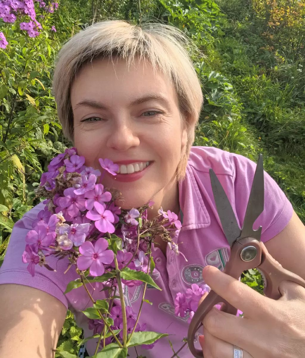 Как добиться повторного цветения флокс в вашем саду: секрет от бабушки