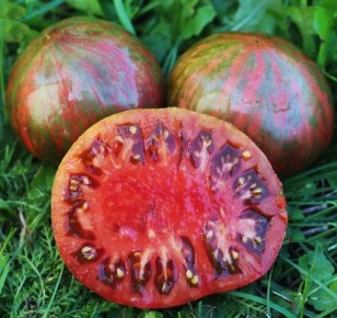 ����� ������ 128 ��� �������� � ������� �������: ���������� ������ � ��������������