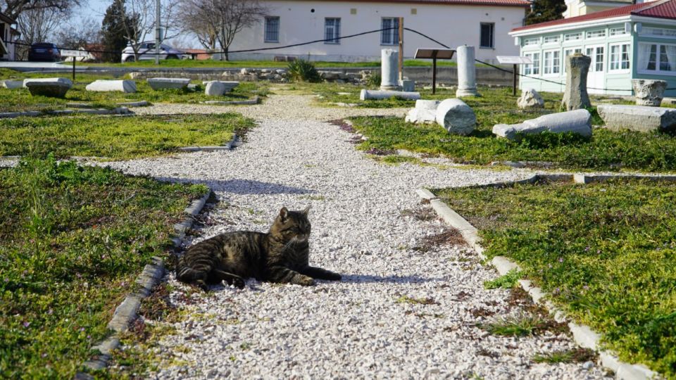 �������� ��������� �������: ��� ����� ���� � ��������� �����������