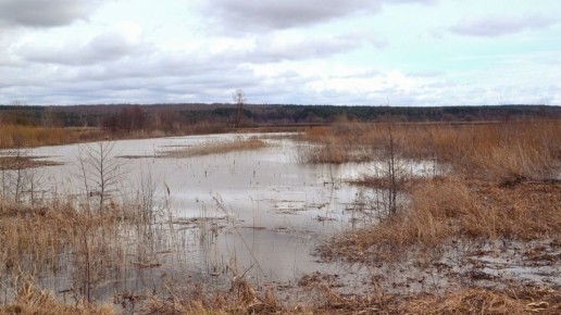 ������� ������ �� ������� �� ���������� ���������� ����