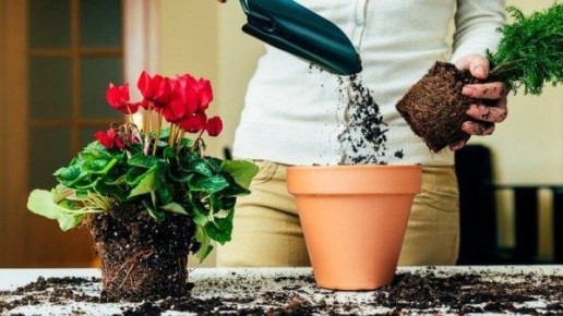 ��� �������� ���������������� ������ ��� ��������� ��������� ��������