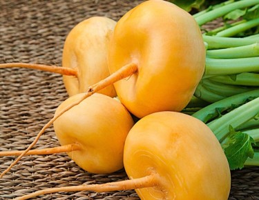 ��� ��������� ��������� ����: ������� � ������