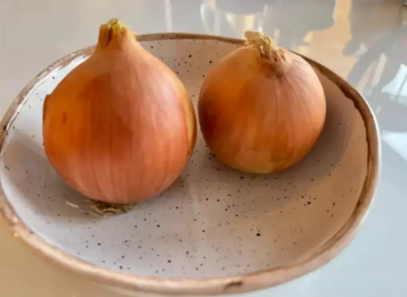 Как нарезать лук без слез: свежий взгляд на привычный процесс
