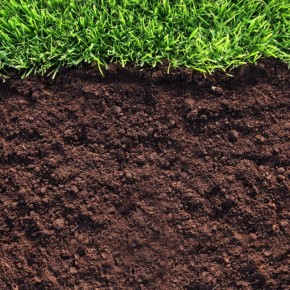 ������� �������� ��������� ����� �� ������ �������