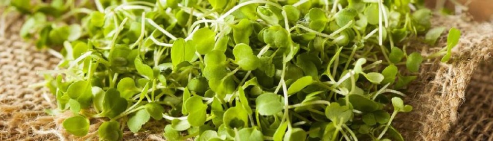 �����������: ��������� ������ � �������� ����� ��� ��������