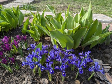 ��� ������� ������������� �������� ������: ������ �� �����