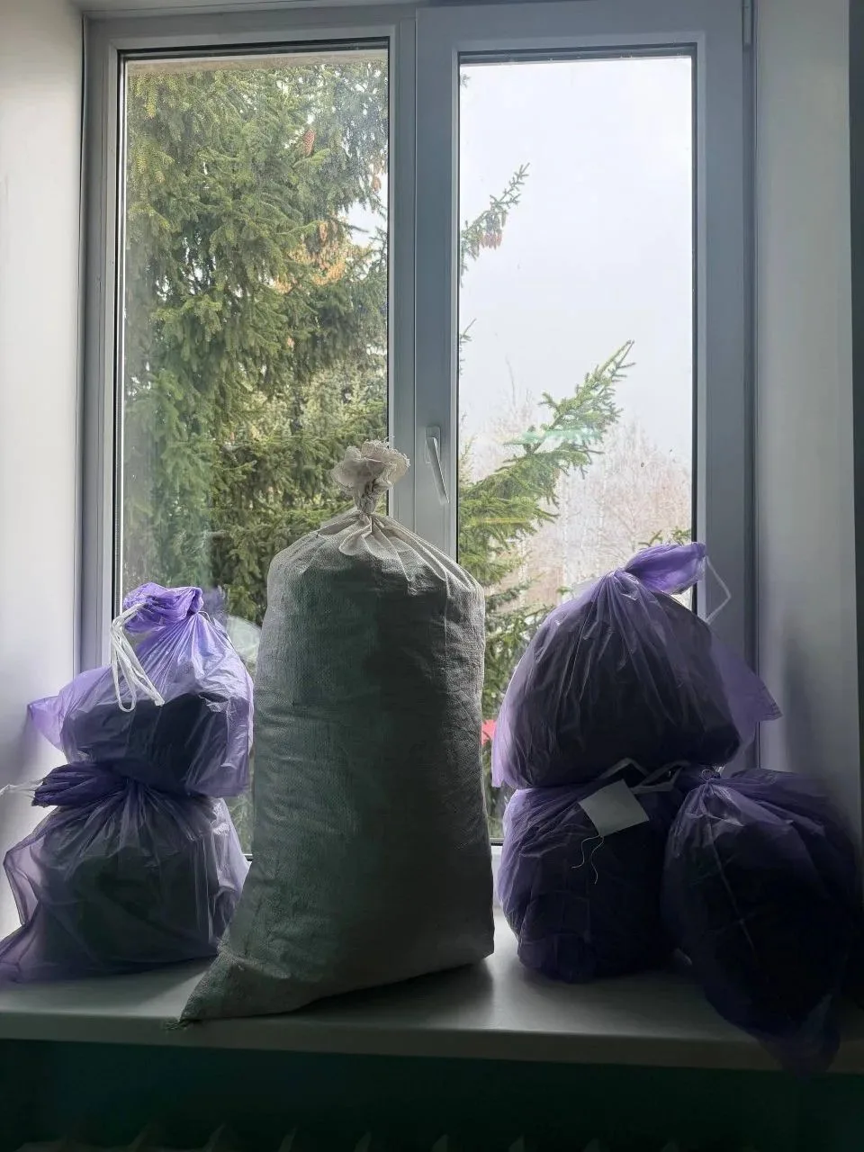 Полицейские изъяли из дома в селе Кипчаково Кораблинского района более 5 с половиной килограммов наркотиков