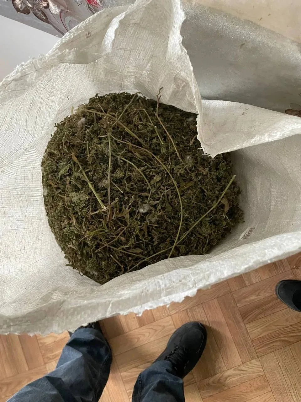 Полицейские изъяли из дома в селе Кипчаково Кораблинского района более 5 с половиной килограммов наркотиков Полицейские изъяли из дома в селе Кипчаково Кораблинского района более 5 с половиной килограммов наркотиков