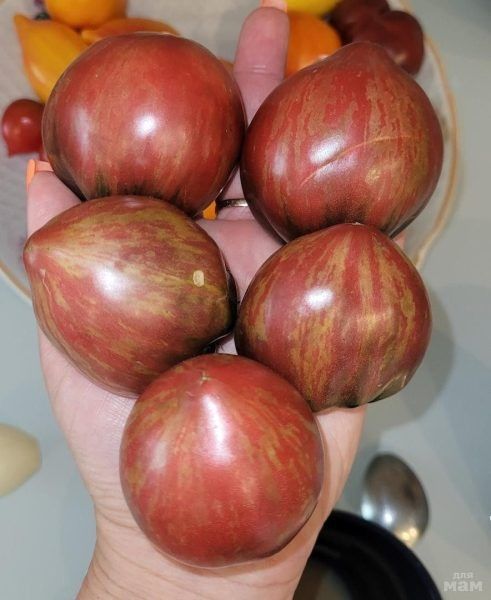 ����� ���� ������: ���������� ���� � ������ ������� ��� ��������� ������