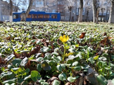 Прогноз погоды на четверг от синоптиков Рязанского ЦГМС