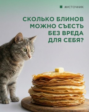 Масленица в разгаре: как угощаться блинами с умом