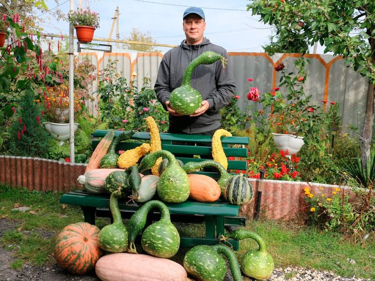 ��������� �������: ������ �������� ������� �������� ������� ������� � ���������