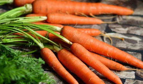 ����: ���� � ���������� ������ �������