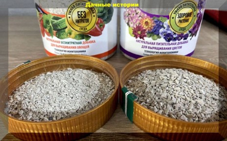 ����: ����� ��������� ��� ������ ���������?