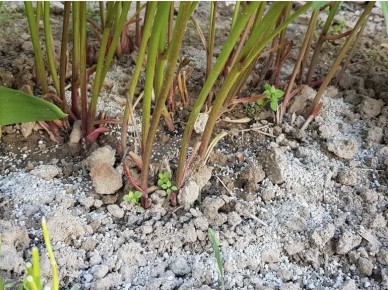 ��� �������� ����� �� ������ �������: ������� ������� ���������