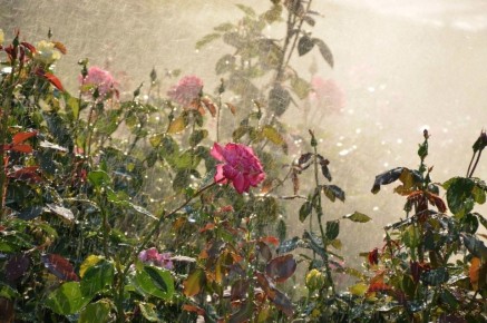 ��� ������ �������� � �������� ����: ������ ��� ���������