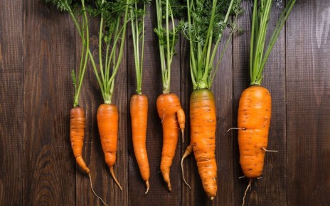 ��� ��������� ��������� �������: ������ �� ��������� ���������������� ������