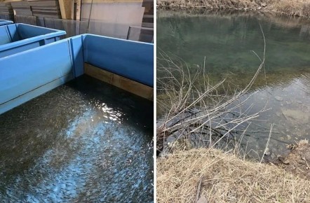 � ���� ����������� ���� ��������� �������� ������� ����