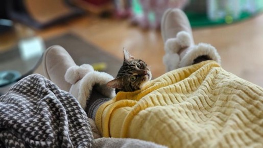 ��� ������, ��� ��� ��� ��� ������������� �����: ��������� ������� ������� ����������