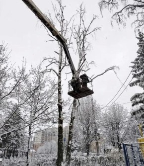 ��������� ������ �������� ������ �� ���������� ����������� ��������