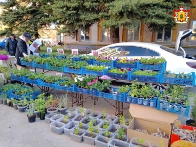 � ������ ����� ����� ���������� ������� � �������