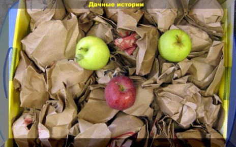 ��� ��������� ������ � ����� �� �����: ������� � ����������� ������