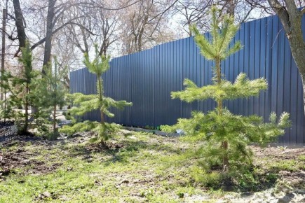 ���������� ��������� �������� � �������