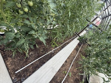 ����������� ��������� ����� � �������