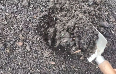 10 ����������� �������� ������ ����������� ����� � ��������