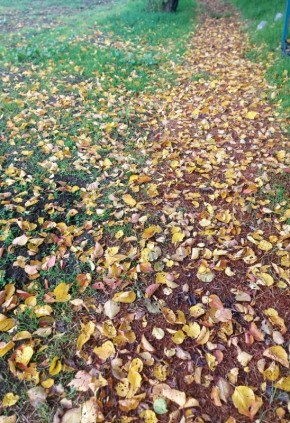 ��������� ���� �����: ��� �� ������� � ���������� � ����