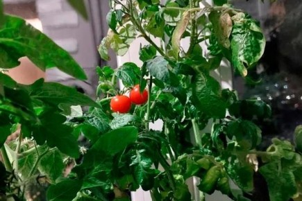 ������ ����: ������� ��������� ����������� � ������������� �����