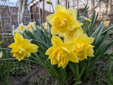 ����� ������ ����� � �������� ������: ����������� � '��������� ���!'