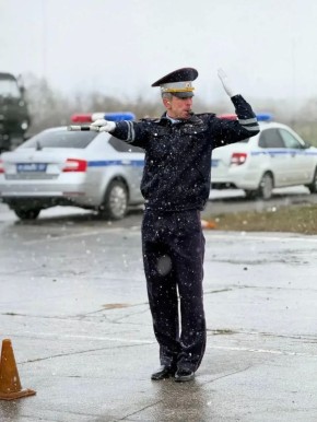 � ������������ ���������������� ������� �������� �� ���������