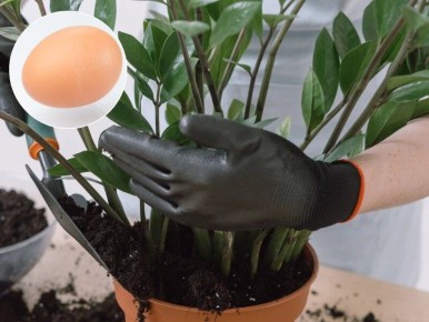 ��� ������ ������������ �� ������ �������: ������� �����