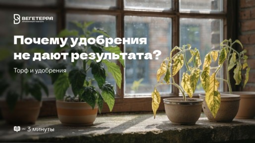 ������ �������� ��������� �� ������ �������� ��������� ����������