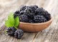 �������: ��� ����� berry ��� ������ ���� � ���������� �������
