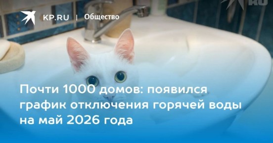 ����� 1000 �����: �������� ������ ���������� ������� ���� �� ��� 2026 ����