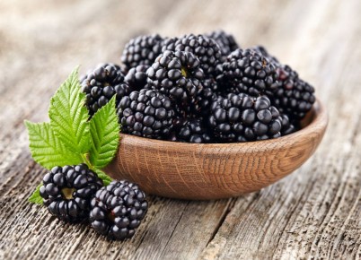 �������: ��� ����� berry ��� ������ ���� � ���������� �������