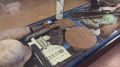 ���� ����������� ������ �������