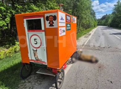 ������ ��������: � �������� ������� ���� ���� ��������������� � ������� ���� ����