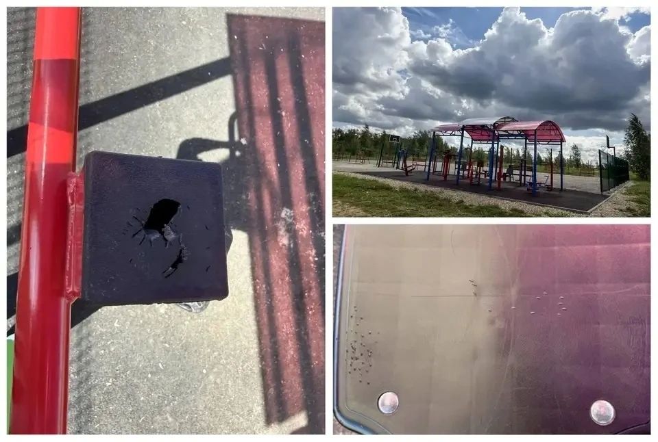 В Успенском Скопинского округа вандалы атаковали новые уличные тренажёры