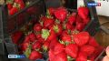 На рязанских прилавках появилась клубника