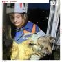 Собака 10 дней выживала в разрушенной БПЛА квартире