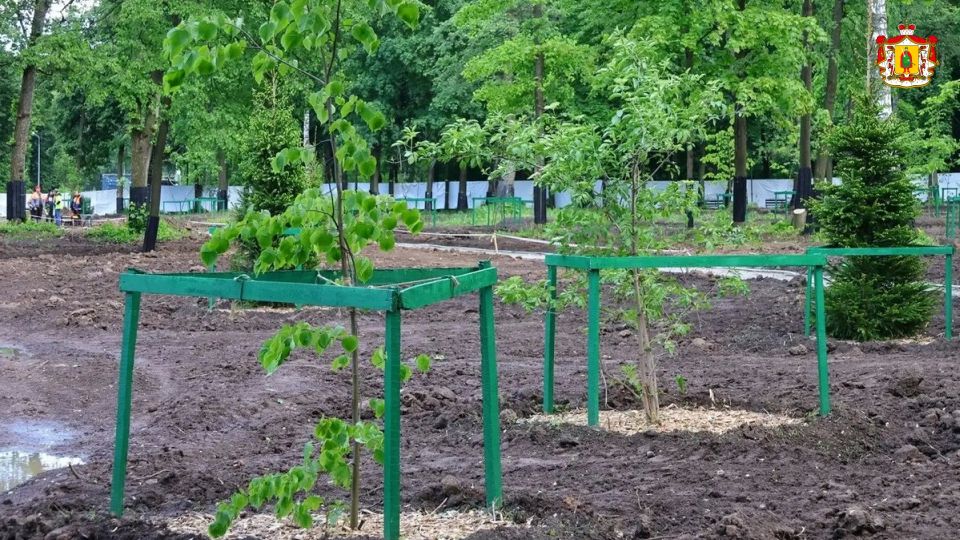 Рабочая группа регионального Общественного экологического совета при Губернаторе проверила работы по озеленению ЦПКиО Рабочая группа регионального Общественного экологического совета при Губернаторе проверила работы по озеленению ЦПКиО