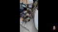 ������������ ������� �� �������������� ������� ����� ����� �������� ����� ������� ������ ������
