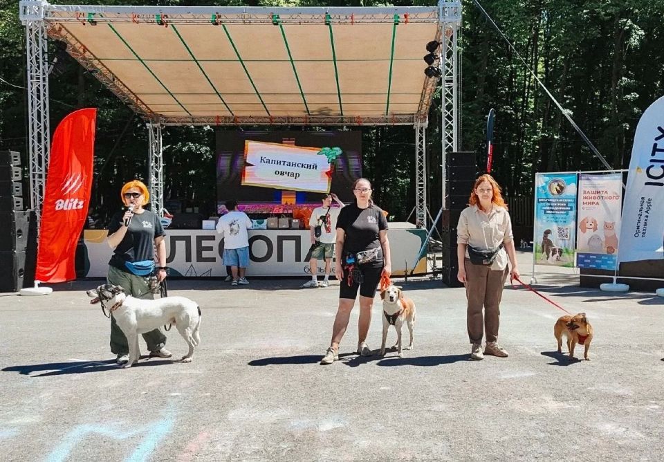 24 кошки и собаки обрели дом благодаря выставке-пристройству «Пойдем домой» 24 кошки и собаки обрели дом благодаря выставке-пристройству «Пойдем домой»